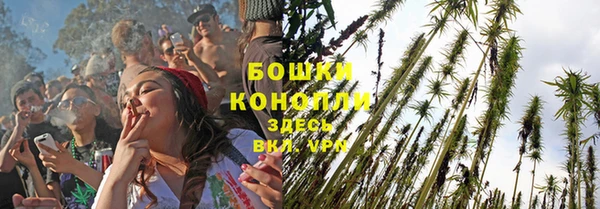 амфетамин Белокуриха